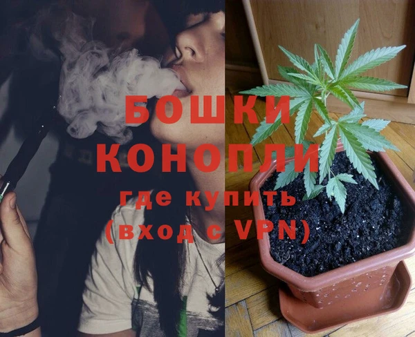 PSILOCYBIN Арсеньев