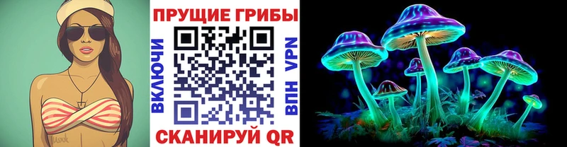 kraken вход  Туринск  Галлюциногенные грибы Psilocybine cubensis 