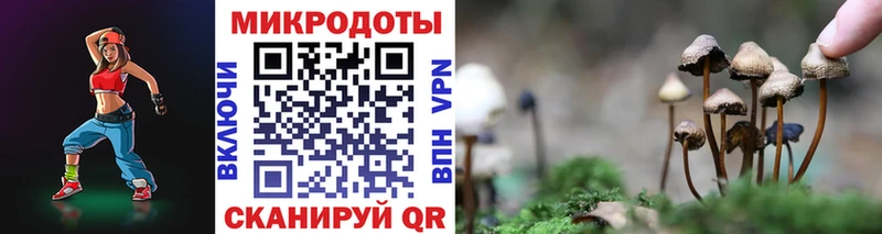 Галлюциногенные грибы GOLDEN TEACHER Туринск